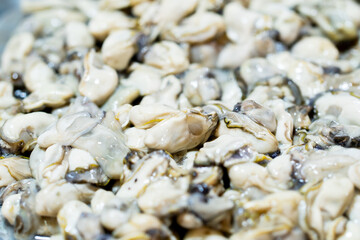 Close up pile of Oysters, thai street food market