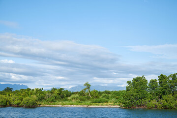 Floating mangrove forest on the sea, Fiji. 
