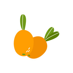 colored doodle sea buckthorn icon, graphics on a white background
