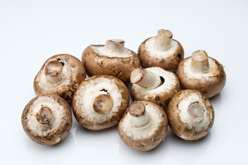 Eine Anzahl / Menge von Braunen Champignons auf einem weißen Hintergrund