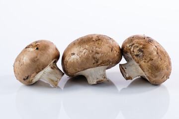 Drei braune Champignons / Pilze auf einem reflektierenden weißen Hintergrund (Lat.: Agaricus bisporus)