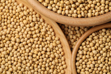 Obraz premium Natural soy beans in bowls as background, top view