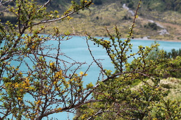 patagonia Chilena
