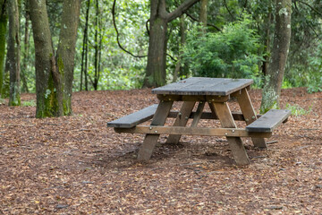a rustic wooden table with benches in the middle of a forest in fall nature and picnic furniture