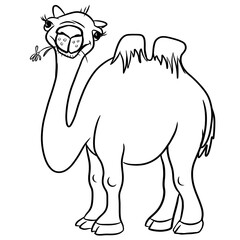 Cheerful camel chews a flower, cartoon character, coloring book for the little ones, illustration for children
