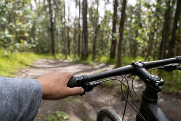 a hand holding the steering wheel of his bicycle, in the background is a path in the middle of the forest on a sunny day, healthy lifestyle