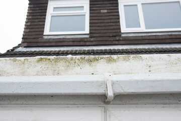 Dirty clogged white plastic pvc gutters and drain pipes with mossy green mould on plastic fascias. ...