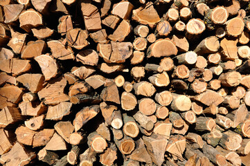 Texture of wooden logs