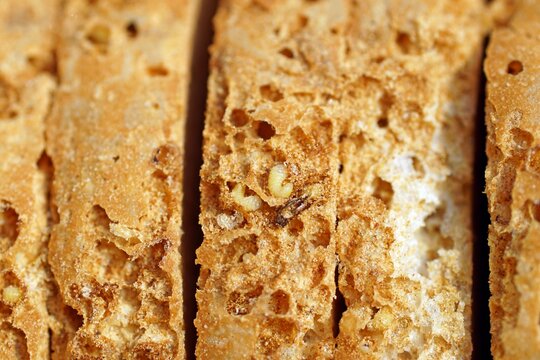 Brotk&auml;ferlarven, Stegobium paniceum, brotk&auml;fer