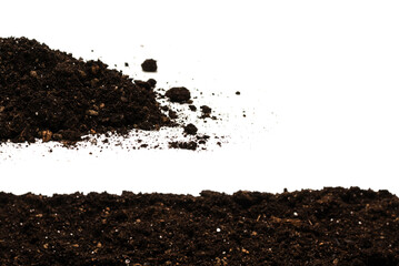Fototapeta premium Black land for plant.