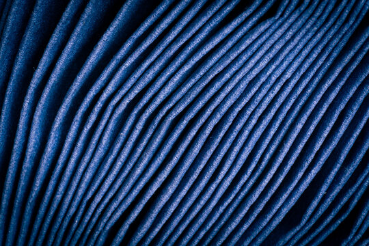 Close Up Of The Napkins Folded Together. The Macro Image Shows The Side Surfaces Of The Napkins. Purple Or Blue. Wavy Pattern Stack Of Tissue Paper.