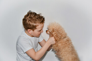 Boy and dog look into each other's eyes on a white background. 