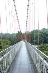 hangging bridge