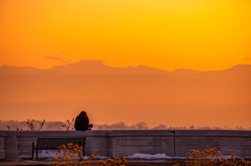 Obraz premium Back view of a person silhouette meditating at mountain sunset in the Inspiration Point park in Denver, Colorado