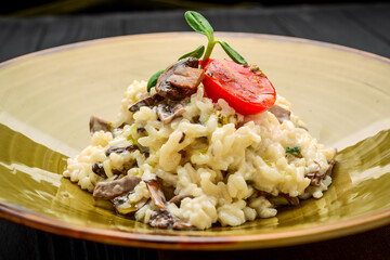 chicken with rice, mushrooms and cheese.