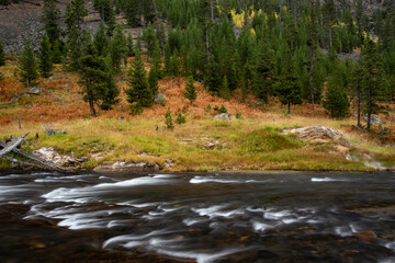 A cold clear river runs through the landscape of Yellowstone National Park.