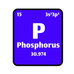 Phosphorus (P) button on purple background on the periodic table of elements with atomic number or a chemistry science concept or experiment.	