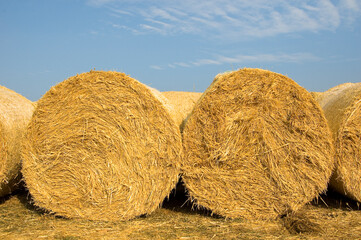 Straw bales in the summer landscape