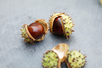 Chestnuts in the shell on a stone plate