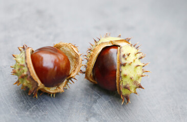 Chestnuts in the shell on a stone plate