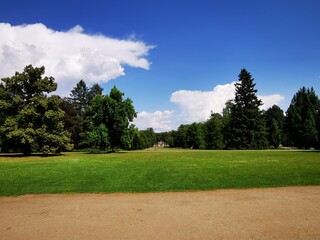 Green park behind Statni zamek in Sychrov, Czech Republic. Blue sky with clouds. Palace park