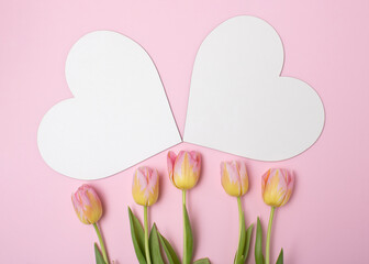 Two white heart like message papers and tulips on  pink background. Romantic concept
