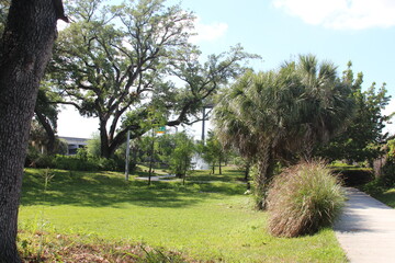  A beautiful day in the park 