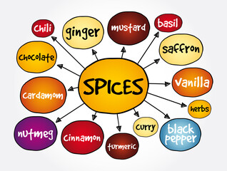Spices mind map, concept for presentations and reports