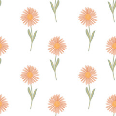 Isolated seamless pattern with pink colored chrysanthemum flowers print. White background. Doodle backdrop.