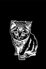 Graphical   kitten isolated on black,vector illustration of  pet