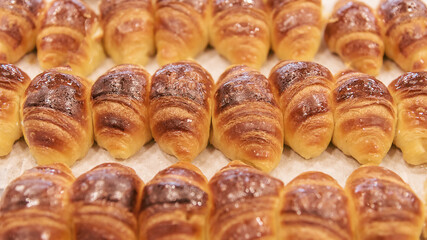 Freshly baked bread buns. The regional traditional cuisine of Israel