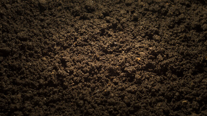 Black land for plant background.
