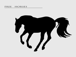 black realistic silhouette of a galloping horse on a light background, postcard, book spread 