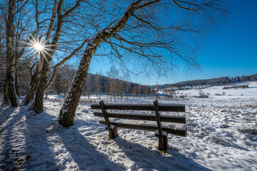 Winter landscape in Gras-Ellenbach