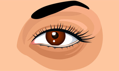 Close up brown eye and black eyebrow.