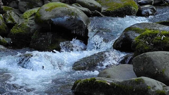creek streaming fresh clean water slow motion detailed whitewater flowing in the forest