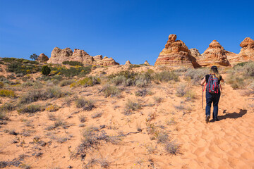 Fototapeta na wymiar Woman hiking in the beautiful landscape and rock formations of Coyote Buttes South in the Vermilion Cliffs National Monument in northern Arizona