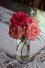 Rosas
