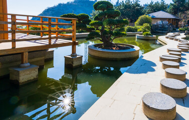 A chain of round stone steps in a Japanese garden by a pond. Stone pine tree in a round vase in a...