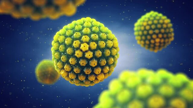 Animation of Herpes simplex viruses ( HSV ) . Cold sores are caused by Herpes virus infection.