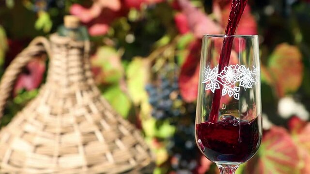 A red wine pouring into the glass against vineyard background, slow motion. A red wine splashing in a wineglass.