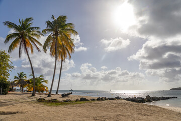 Pointe Marin beach, Sainte-Anne, Martinique, French Antilles