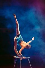 An aerial gymnast shows a performance in the circus arena