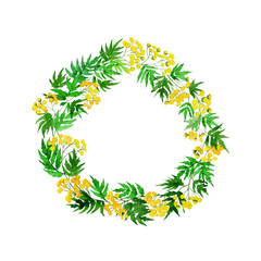 Watercolor wreath of tansy plant isolated on white background. Watercolor hand drawing illustration.  Circle frame with yellow field flowers, summer design.