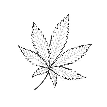 The marijuana leaf is drawn with a black outline on a white background. Pattern of a narcotic plant for coloring, applications, printing on dishes, clothes, textiles. 