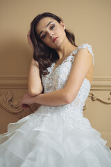 Fototapeta premium Beautiful bride in a luxurious wedding dress