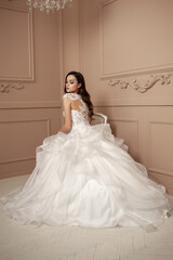 Beautiful bride in a luxurious wedding dress