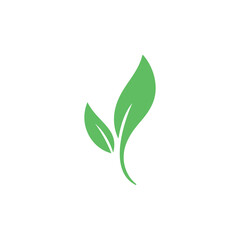 Plant and leaves icon. Leaf symbol of ecology, enviroment and nature. Vegetarian and vegan pictogram design.