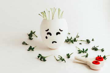 a bad haircut and the sadness of changing the image. White chicken egg with seedlings inside and out. An emotional face is drawn on the shell.