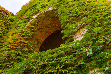 an old building wrapped in ivy 